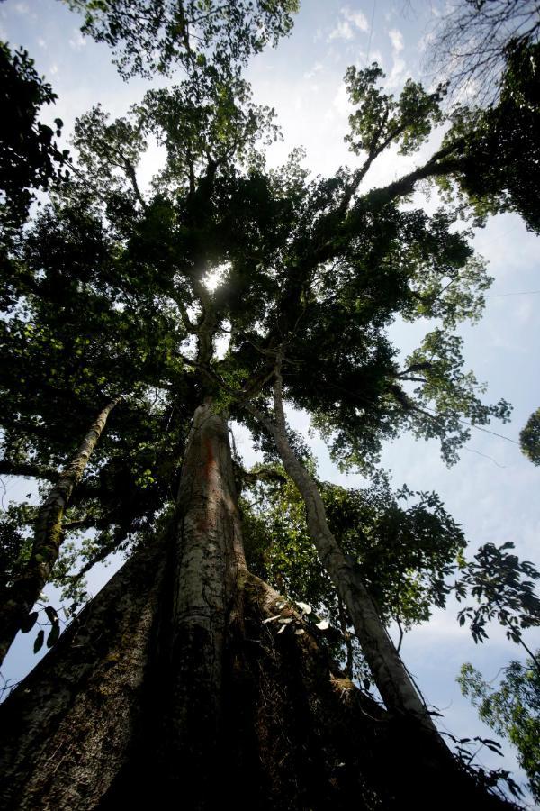 Misahualli Amazon Lodge Экстерьер фото