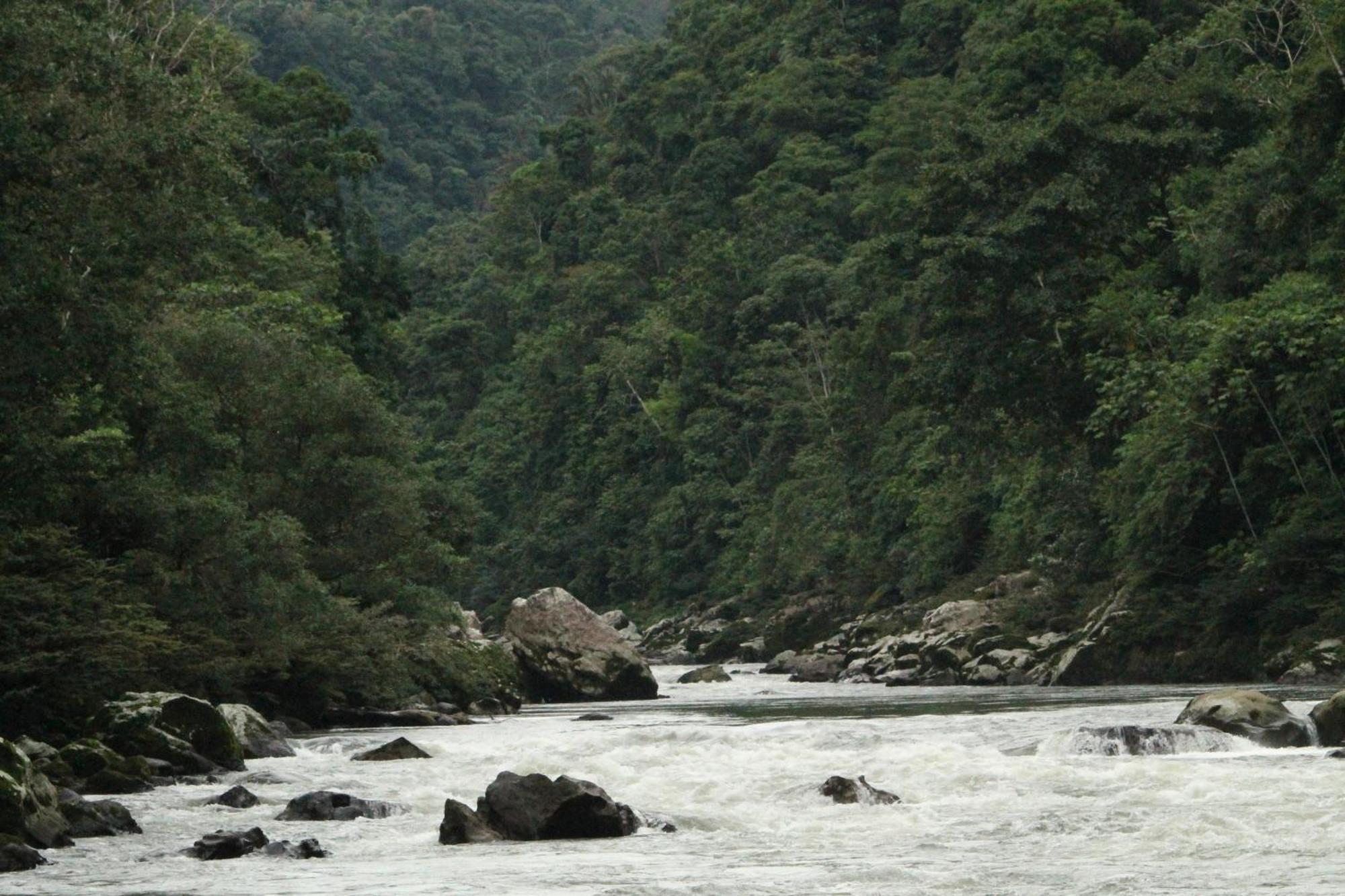 Misahualli Amazon Lodge Экстерьер фото